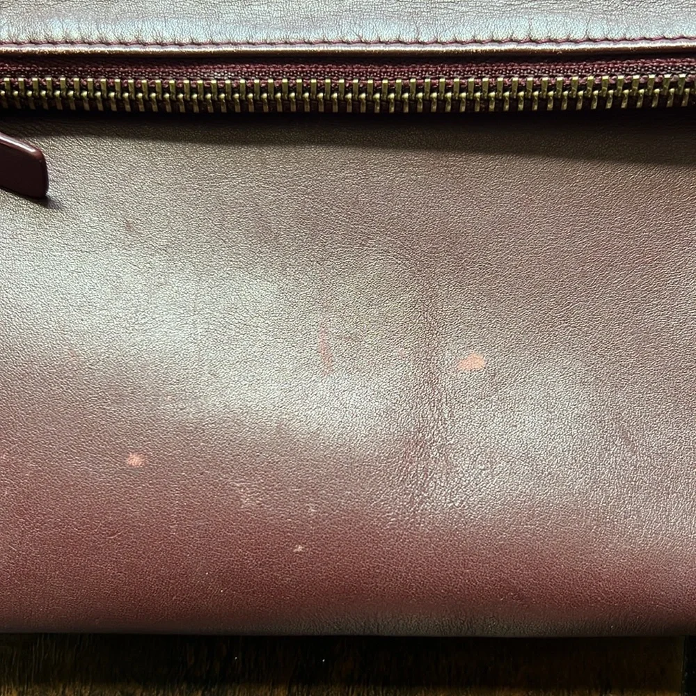 Everlane Red Crossbody Purse